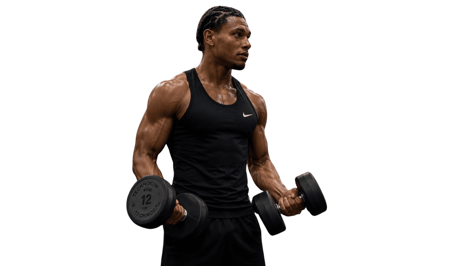 Musculation