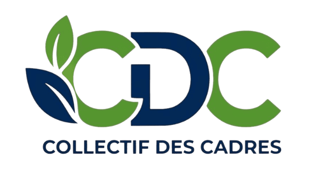 Création de logiciel
